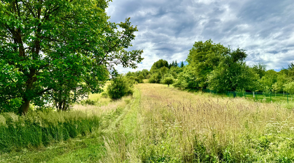 Na predaj rekreačný pozemok v obci Horná Breznica