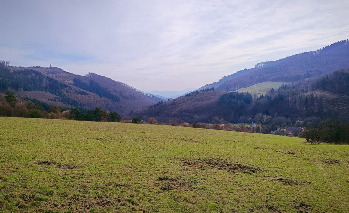Na predaj investičný pozemok v obci Zubák - fotografia 3