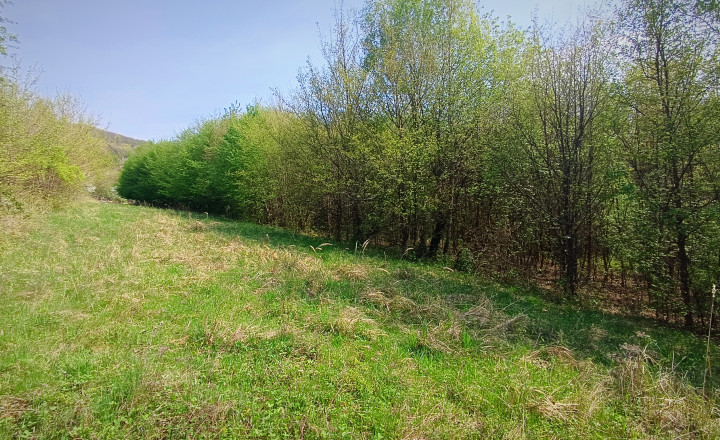 NA PREDAJ rekreačný pozemok s krásnym výhľadom v obci Milochov - fotografia 2