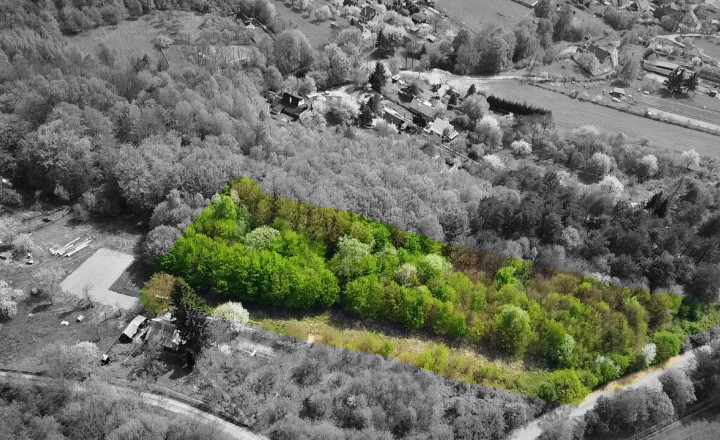 NA PREDAJ rekreačný pozemok s krásnym výhľadom v obci Milochov - fotografia 1
