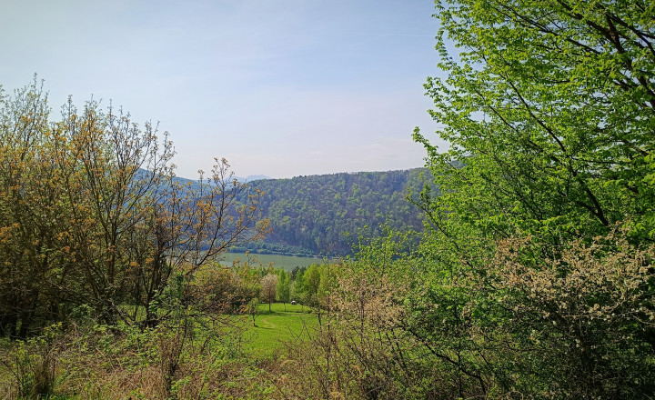 NA PREDAJ rekreačný pozemok s krásnym výhľadom v obci Milochov - fotografia 4